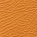 MERCEDES BENZ LEATHER