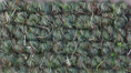 Square Weave Carpet